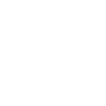 diversity standard logo